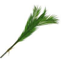Leaf Large Artificial Palm Tree No Pot 11 Leaves 118Cm, Green