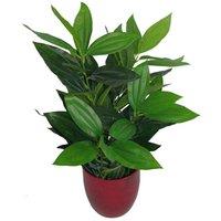 70Cm Leaf Design UK Realistic Large Artificial Foliage Plant With Pot, Green