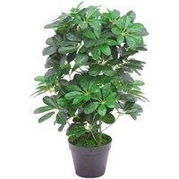 Leaf Artificial Evergreen Plant 55Cm Small Plant 55Cm, Green