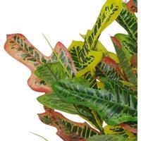 Leaf 65Cm Artificial Codiaeum Multicoloured House Plant, Orange