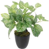 Leaf Artificial Fern Plant 40Cm Caladium Plants, Green