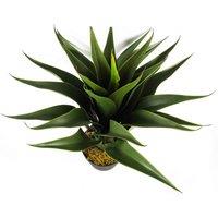 Leaf 55Cm Artificial Tropical Yucca Plant, Green