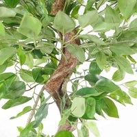 Leaf 150Cm Twisted Trunk Artificial Japanese Fruticosa Ficus Tree Silver Planter, Green