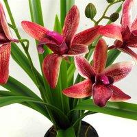 Leaf 50Cm Dark Pink Artificial Orchid In Ceramic Planter, Pink