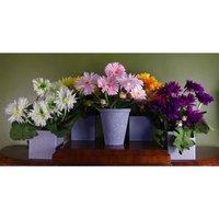 Leaf 33Cm Artificial Potted Daisy Pink, Pink