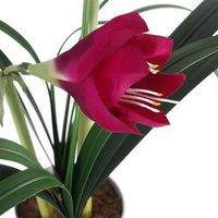 Leaf 60Cm Artificial Amarylis Pink, Pink