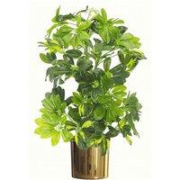 Leaf 75Cm Artificial Arboricola Gold Capella Plant - Gold Metal Planter, Green