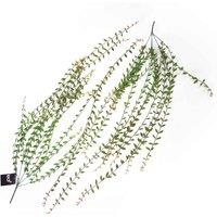 Leaf Pack Of 12 X 120Cm Artificial Hanging String Of Pearls, Green