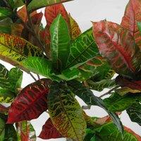 Leaf Artificial 130Cm Codiaeum Multicoloured House Plant, Green