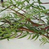 Leaf 200Cm Artificial Garland Hanging Trailing Willow Plant, Green