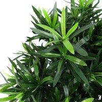 Leaf 40Cm Podocarpus Bush Artificial Plant, Green