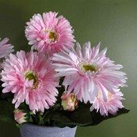 Leaf Pink Potted Daisy Flowering Plant Artificial, Pink
