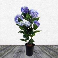 Leaf Artificial Hydrangea Flowering Plant Blue, Blue