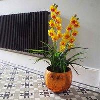 Leaf 90Cm Yellow Flower Orchid Plant, Yellow