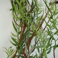 Leaf 200Cm Artificial Garland Trailing Hanging Willow Plant Realistic, Green