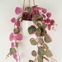 Leaf 90Cm Artificial Potted Trailing Hanging Pink Plant Realistic - String Of Hearts, Green