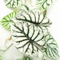 Leaf Artificial 120Cm Trailing Hanging Plant Alocasia Dragon Scale, Green