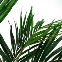 Leaf 150Cm Kentia Palm Artificial Tree, Green