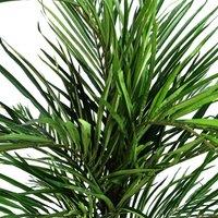 Leaf 130Cm Areca Palm Artificial Tree, Green