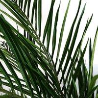 Leaf 150Cm Areca Palm Natural Artificial Tree, Green