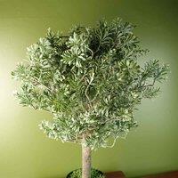 Leaf Artificial Artemisa Evergreen Shrub Plant, Green