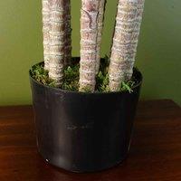 Leaf Artificial Deluxe 75Cm Green Jade Plant, Green