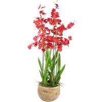 Leaf 90Cm Oncidium Artificial Orchid Red In Stoneware Planter, Red