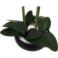 Leaf Orchid White - Black Ceramic Planter, White