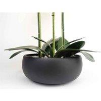 Leaf Orchid Yellow - Black Ceramic Planter, Yellow