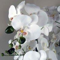 Leaf 50Cm Artificial Orchid With Glass Planter - White, White
