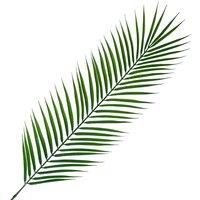 Pack Of 6 X 100Cm Realistic Artificial Palm Leaf, Green