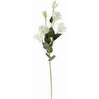 Leaf Pack Of 6 X 80Cm Artificial White Wild Rose Stem - 36 Flowers, White