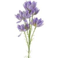 Leaf Pack Of 6 X 60Cm Purple Starflower Stem - 30 Flowers, Purple