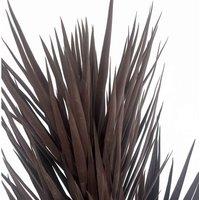 Leaf 155Cm Uv Resistant Artificial Xl Triple YUKka Tree Plant Spiky Tree Triple Dark, Brown