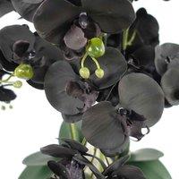 Leaf Orchid Black - Gold Ceramic Planter, Black