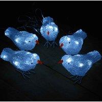 Samuel Alexander Set Of 5 16Cm Christmas Acrylic Birds With 30 White Leds Indoor Outdoor Decoration, White