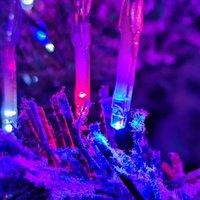 Samuel Alexander 12.4M 960 Led Premier Cluster Christmas Lights With Timer In Red White & Blue, Red