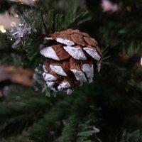 Samuel Alexander 60cm Frosted Norway Mini Tabletop Christmas Tree with 72 Tips & Pine Cones, Green