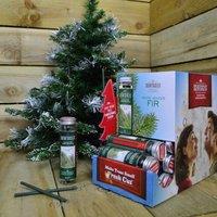 Samuel Alexander 6 Scentsicles Scented Hanging Ornaments Sticks - White Winter Fir, Green