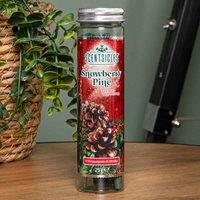 Samuel Alexander 25G Snowberry Pine Scented Christmas Scentsicles With 6 Hanging Hooks, Green