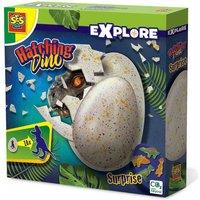 Hatching Dino, Multi