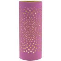 The Seasonal Gift Co. Large Pink Starburst Led Light Tube, Pink