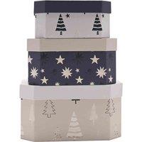 The Seasonal Gift Co. Set Of 3 Frosted Haven Stacking Boxes, Multi