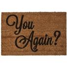 Premier Housewares Coir Doormat - You Again