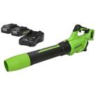 Greenworks 48v Cordless Axial Blower with 2 x 24v 2Ah Batteries and Charger