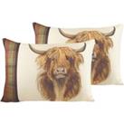 Evans Lichfield Hunter Highland Cow Twin Pack Polyester Filled Cushions Multi 60 x 40cm