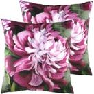 Evans Lichfield Winter Florals Peony Twin Pack Polyester Filled Cushions Fuchsia