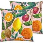 Evans Lichfield Citrus Outdoor Polyester Filled Cushions Twin Pack Multi
