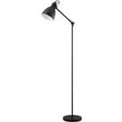 Eglo Blk Adjustable Floor Lamp