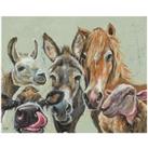 The Art Group Louise Brown (Farmyard Selfie) 40x50cm Canvas